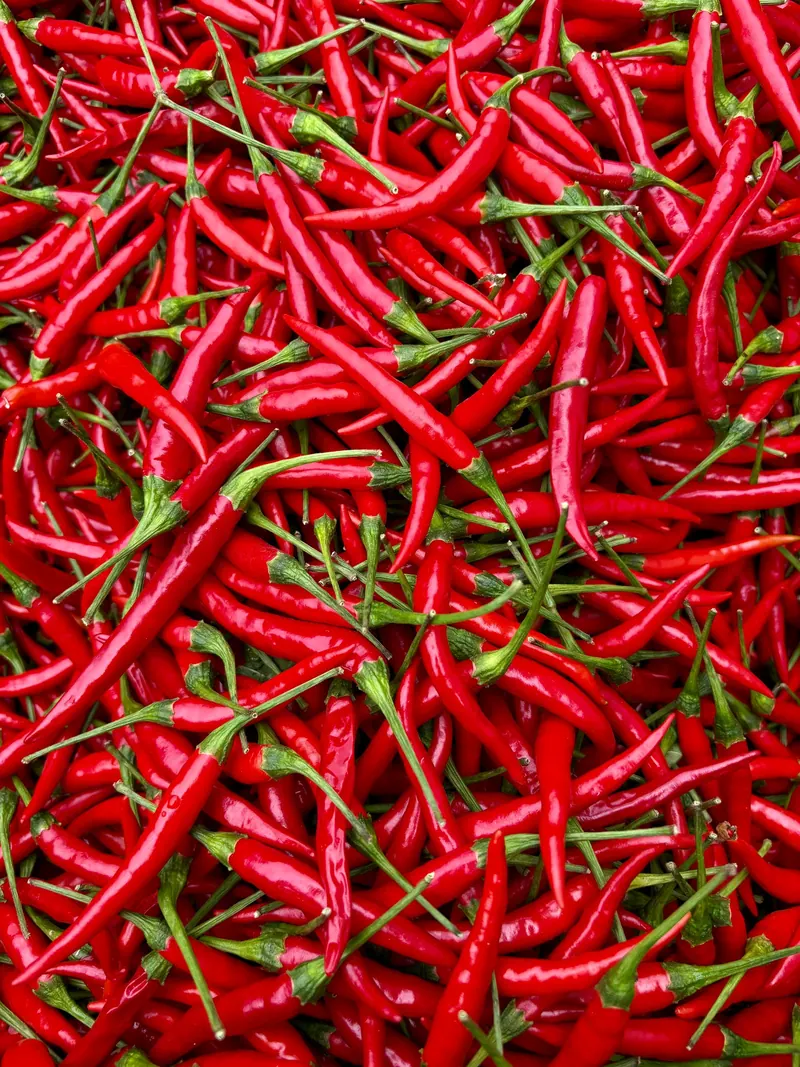 A large pile of vivid red chili peppers with green stems, showcasing freshness and spice