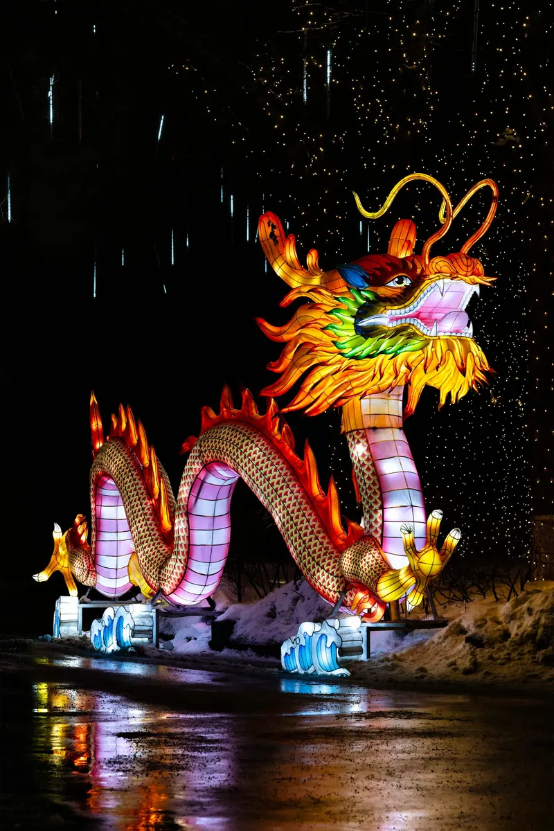 Brightly colored dragon lantern illuminates the night at a traditional Chinese festival