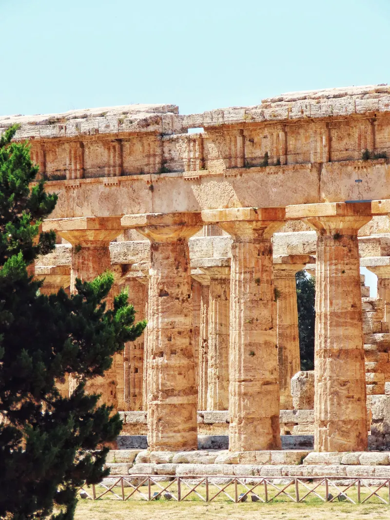 Detailed view of the ancient Greek temple columns in Italy surrounded by nature